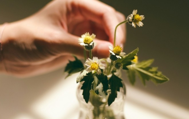 Máltai Manufaktúra - Gyulaji növénytartósító üzem